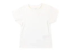 Name It top white alyssum